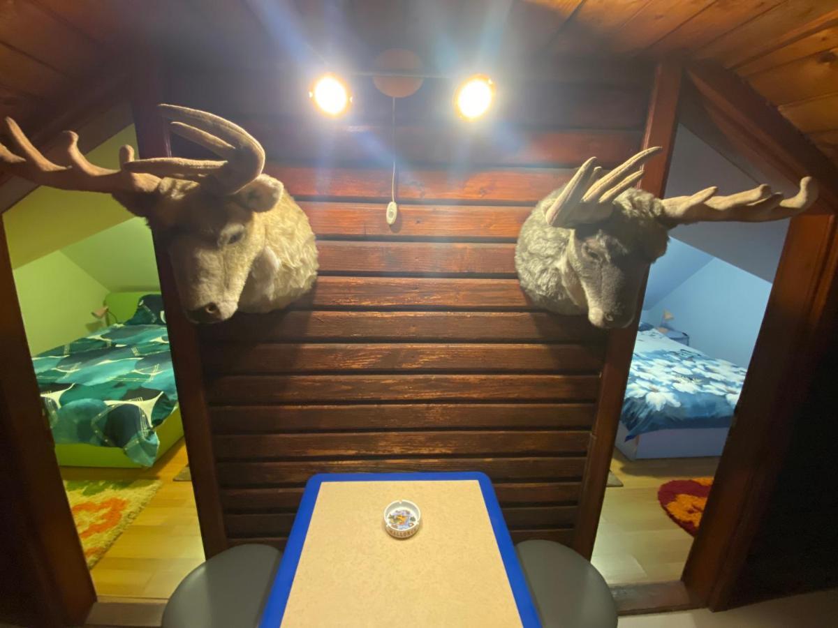 Cabana Cu Teren De Tenis -- Etaj Banita Exterior foto