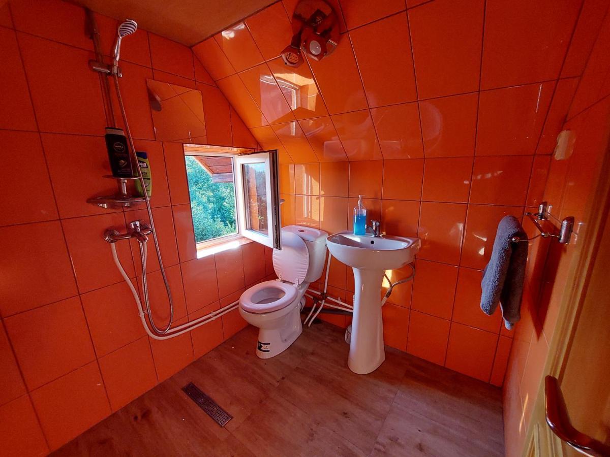 Cabana Cu Teren De Tenis -- Etaj Banita Exterior foto