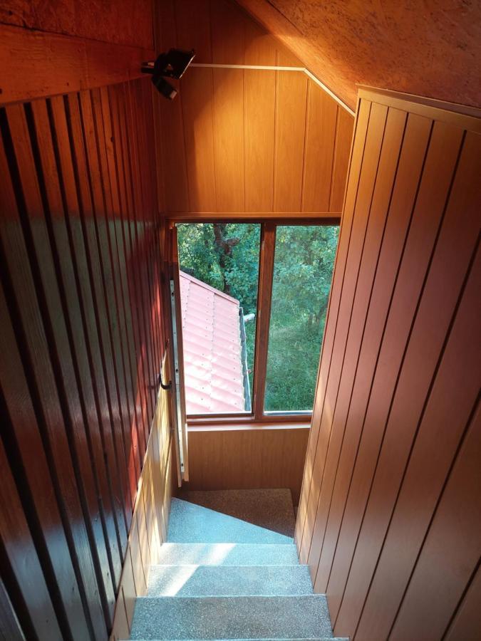 Cabana Cu Teren De Tenis -- Etaj Banita Exterior foto